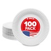 Stock Your Home 9-Inch Paper Plates Uncoated, Everyday Disposable Plates