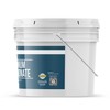 Earthborn Elements Ammonium Bicarbonate Powder (1 Gallon), Baker’s Ammonia, Flat