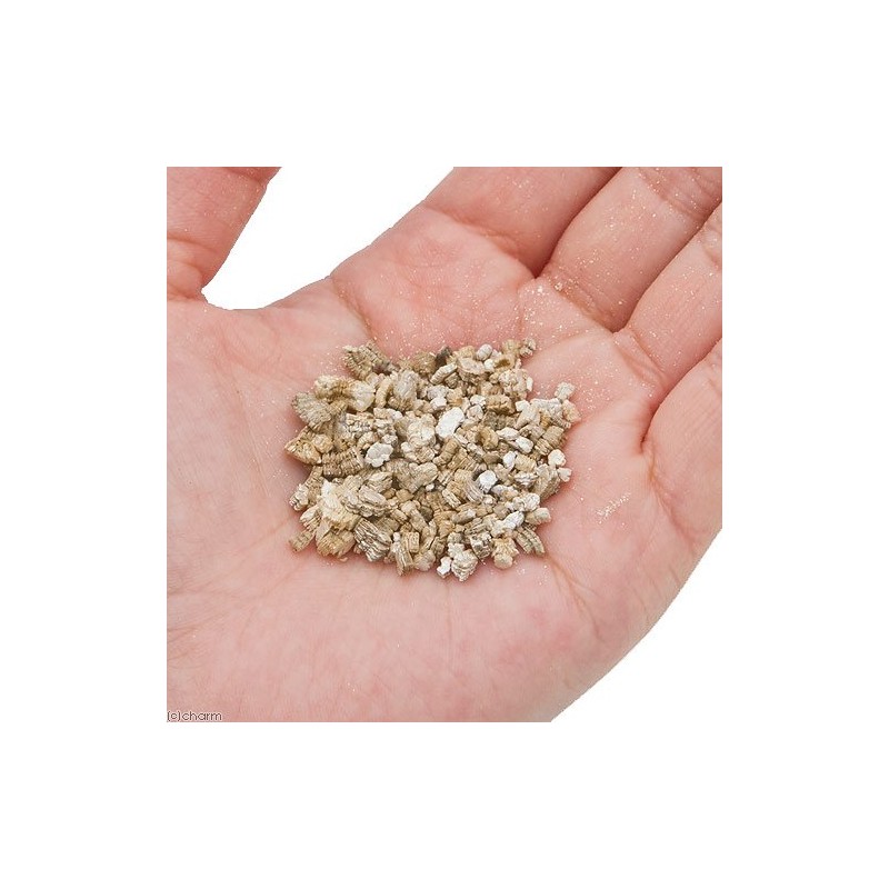 KKDYWQZEE Pogona Club Vermiculite Bottom Floor Sand, For Land Use,