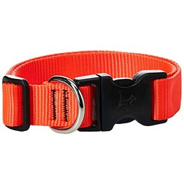 LupinePet Basics 1" Blaze Orange 12-20" Adjustable Collar for Medium and Larger Dogs