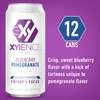 Xyience Blueberry Pomegranate Energy Drink, 16 fl oz can (Pack