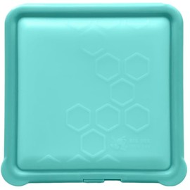 Big Bee, Little Bee - SoftShell Reusable Silicone Food Storage Container with Lid, Easy to Clean, Lays Flat, Snaps Closed, Microwave, Freezer & Dishwasher Safe, As Seen on Shark Tank (Aqua)