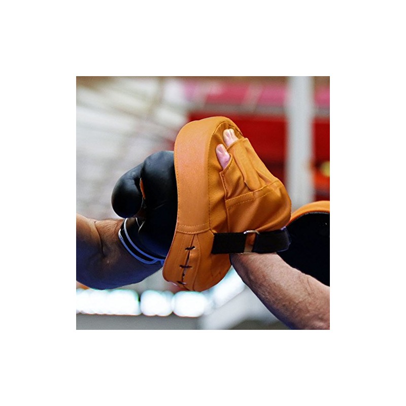Boxing Target Gloves