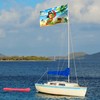 Pirate Flag – Jolly Roger Flag with Parrot - Double-sided