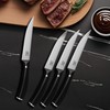 WANGMAZI Exquisite Steak Knife Set of 4,High-carbon Stainless Steel Forged,Lightweight