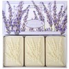 Saponificio Artigianale Fiorentino Soap Lavanda (Lavender) Bath Soap, 3 x