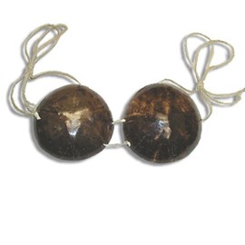 Real Coconut Shell Bra - Hula Bikini Top