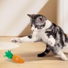 Andiker 2PCS Cat Chew Toys, Cute Carrot Shape Soft Cat
