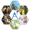 Cat Harness Adjustable Cat Leash Escape Proof Dog Harness with