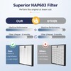 HAP603 Replacement Filter Compatible With ECOSELF HAP603 & HAP603WF Air