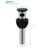 Hibbent 2 Pack Metal Bathroom Sink Drain with Overflow, Push