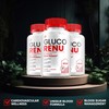 Gluco Renu ( 3 Pack) Gluco Renu Capsules - GlucoRenu