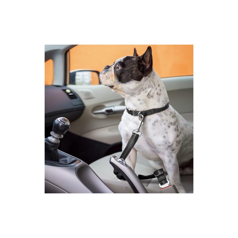 Removable Dog Seat Belt Harness for Car