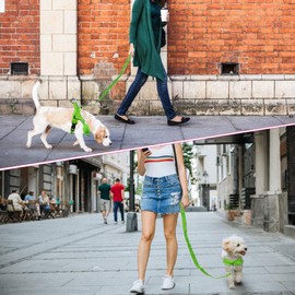 SlowTon No Pull Small Dog Harness and Leash, Front Lead Walk Vest Harness Soft Padded Reflective Adjustable Puppy Harness Anti-Twist Pet Lead Quick Fit for Small Dog Cat Animal