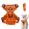 Adjustable Cat Harness, Escape Proof, Cat Harness with Lead Set,