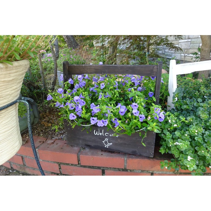 Green Garden (Green Garden) Flower Guard Width 18 X Height