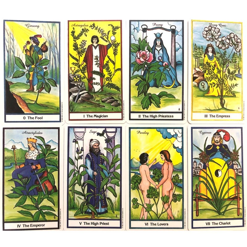 78 Tarot Cards, Rider Edition, Tarot Divination, Herbal Tarot, Japanese