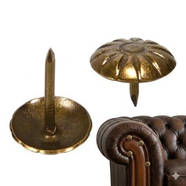 EXCEART 100 tachuelas decorativas para el pulgar, chinchetas para sofá, muebles, chinchetas de flores, chinchetas doradas para fotos, mapas de pared, tablón de anuncios, sacacorchos (latón)