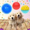 ECO-FUSED 3-Pack Squeaky Dog Toy Balls - Spiky Chew Toys