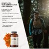 Extracto Puro Cordyceps, Suplemento Natural Vegano, Energía