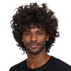Brown Curly Wig Men 70s 80s Short Fluffy Afro Brown