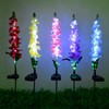Innovative Lawn Lamp Solar Powered LED Decorative Light for Outdoor