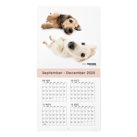 THE DOG 2026 Wall Calendar, Mini Size, Dachshund