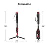 Avella A324D Aluminum 67 Inch Camera Monopod Professional Telescopic Video