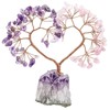 mookaitedecor Love Heart Crystal Stone Tree with Natural Amethyst Grape