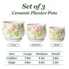 Crotlehg Ceramic Plant Pots, Round Flower Pots for Indoor Plants,3.9+5.1+6.7