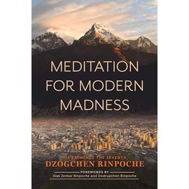 Meditation for Modern Madness