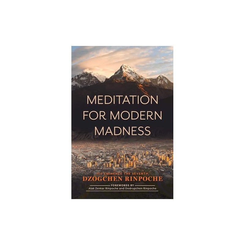 Meditation for Modern Madness