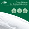 RPE Life Day/Regular Pads with Wings - 100% Organic Cotton
