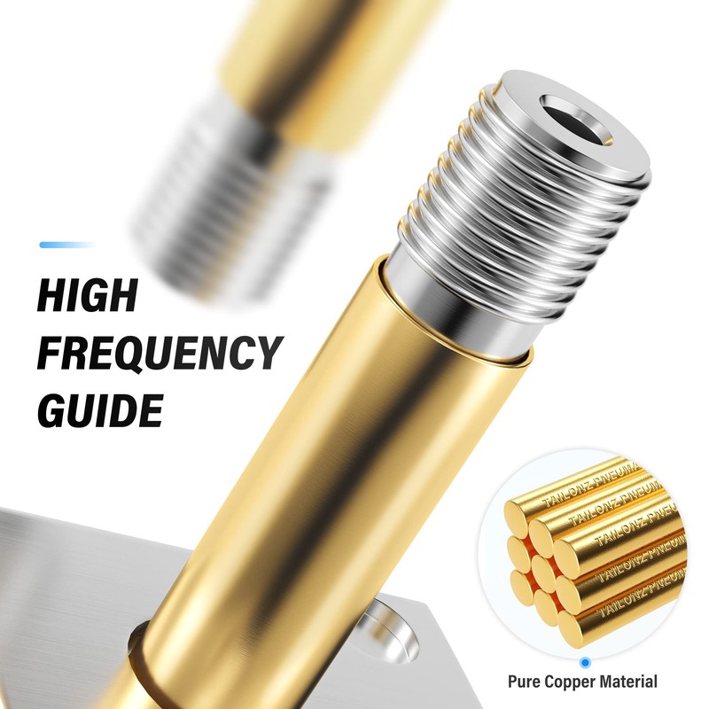 TAILONZ PNEUMATIC 1/4 inch NPT 110V 2 Position 2 Way