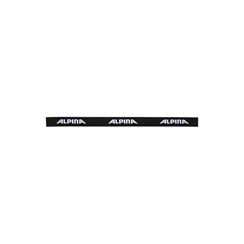 ALPINA Scarabeo S QH Ski Goggles, Unisex, A7260, Black, One