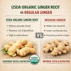 Fresh Organic Ginger Root – Premium, Natural, and Versatile with