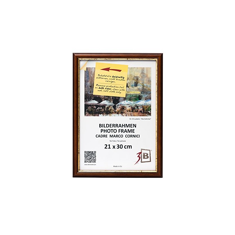 3-B Bari Rustic Picture Frame, Dark Brown/Gold, 21 x 29.7
