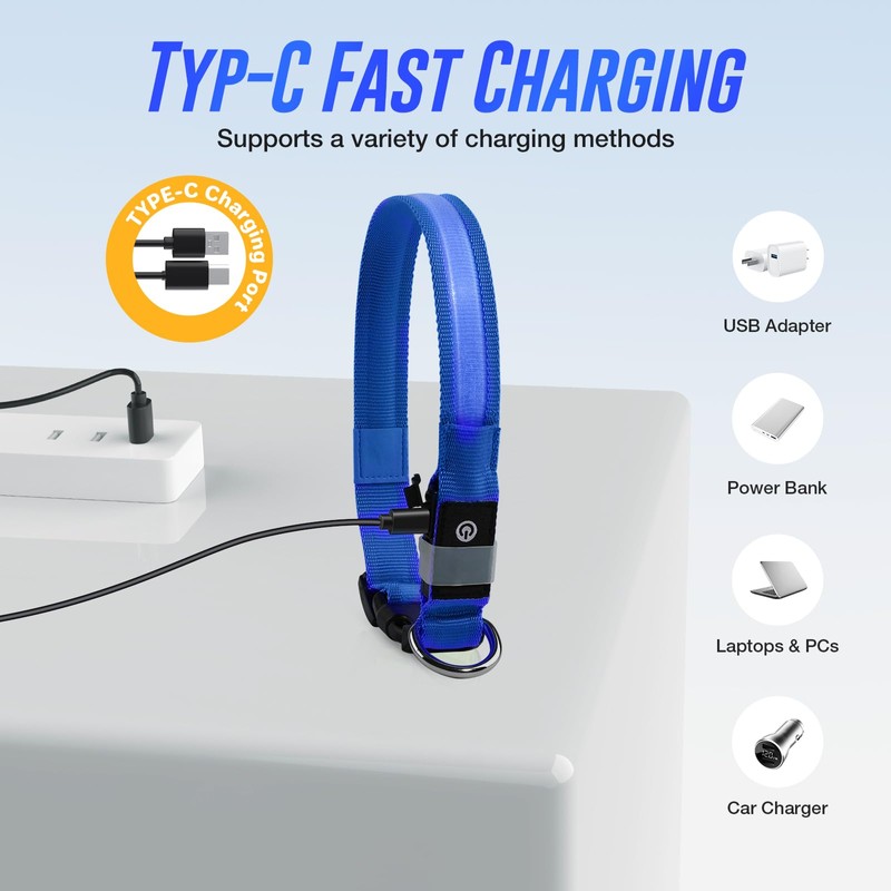 5200RGB Luminous Rabbit Band Blue-M