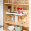 Home Basics Foldable Rubber Lined Plastic Kitchen Organizer Rack (1)