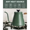 Harriet Gooseneck Kettle with Thermometer for Pour Over Coffee and