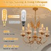 BLINGCOLOR Dimmable E12 LED Edison Candelabra Bulbs 40 Watt Equivalent,