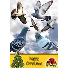 Racing/Homing Pigeon Bird Christmas Card 'Happy Christmas' - Special Xmas Card for Him Her Kids Male Female