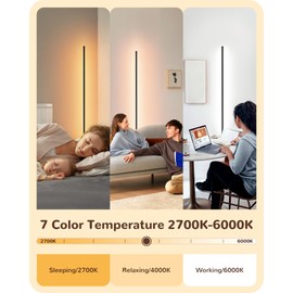 EDISHINE Minimalist LED Corner Floor Lamp with Remote, Set of 2 Modern Dimmable Mood Light, 57.5" Standing Tall Lamp for Living Room, Bedroome, 7 Color Temperature 2700-6000K (Black)