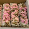 VIE Sage Smudge Stick, White Sage and Pink Sinuata 4",