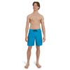 Quiksilver Men's Standard Swimwear Regular Fit Fixed Waist UPF 50
