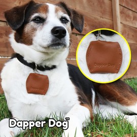 Dapper Dog Leather Dog Tag Silencer (Brown)