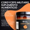 Cordyceps Suplemento en polvo de extracto de hongo - (100g)