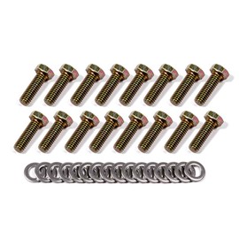 Weld Racing Bead Lock Bolt Kit, Hex Head, Steel, Natural, 13/15 in Wheels, Set of 16