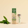 Biodegradable Mint Dental Tooth Lace Floss With Refillable & Reusable