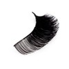 Kiss I Envy Juicy Volume 02 Lashes